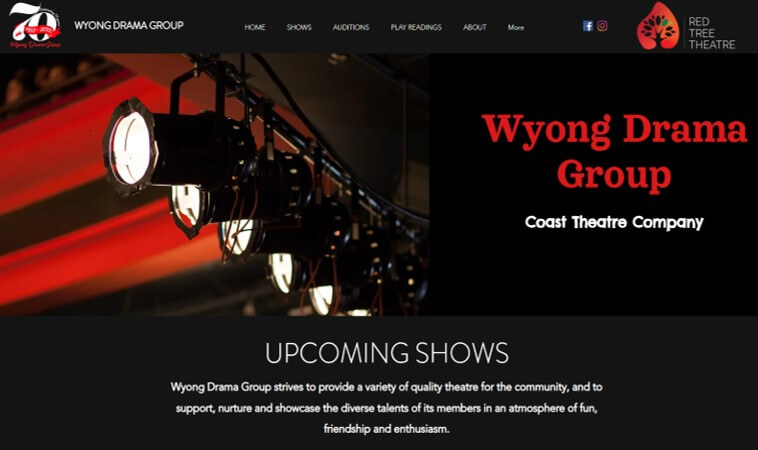 SEO Services, Website Updates and Maintenance for the Wyong Drama Group